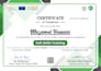 design, roofing, cleaning, construction websites design using wordpress